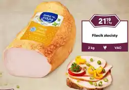 Dantex Filecik złocisty oferta