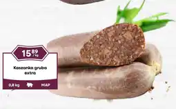 Dantex Kaszanka gruba extra oferta