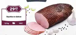 Dantex Szynka w siatce oferta