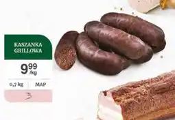 Dantex Kaszanka grillowa oferta