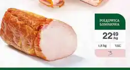 Dantex Polędwica łososiowa oferta