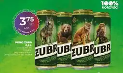 Duży Ben Piwo Żubr oferta
