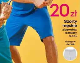 Pepco Szorty męskie oferta