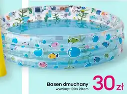Pepco Basen dmuchany oferta