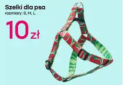 Pepco Szelki dla psa oferta