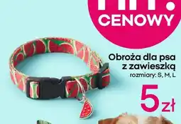 Pepco Obroża dla psa z zawieszką oferta