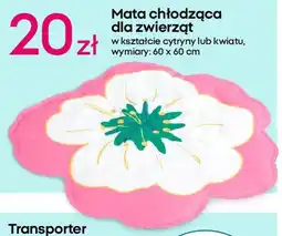 Pepco Mata chłodząca dla zwierząt oferta