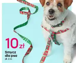 Pepco Smycz dla psa oferta
