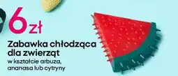 Pepco Zabawka chłodząca dla zwierząt oferta
