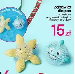 Pepco Zabawka dla psa oferta