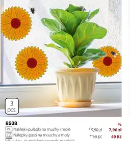 BetterStyle Naklejki-pułapki na muchy i mole oferta