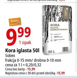 Kora iglasta Sobex
