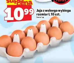 Topaz Jaja z wolnego wybiegu rozmiar L 10 szt. TOPAZ oferta