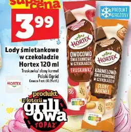 Topaz Lody śmietankowe w czekoladzie Hortex 120ml oferta