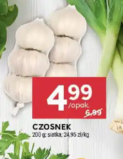Stokrotka Czosnek oferta