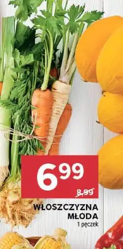 Stokrotka Włoszczyzna młoda oferta