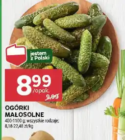 Stokrotka Ogórki małosolne oferta