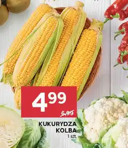 Stokrotka Kukurydza kolba oferta