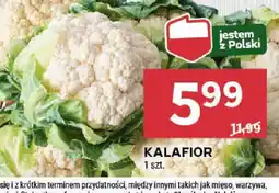 Stokrotka Kalafior oferta