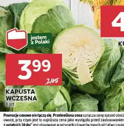 Stokrotka Kapusta wczesna oferta