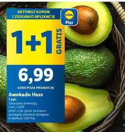 Lidl Awokado HASS oferta