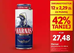 Lidl Harnaś oferta