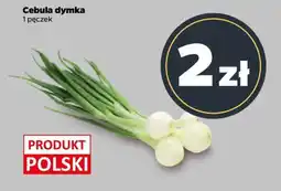 Netto Cebula dymka oferta