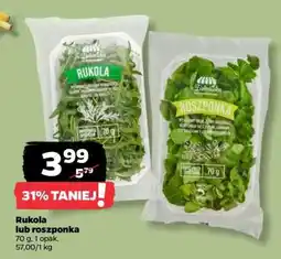 Netto Rukola lub roszponka oferta