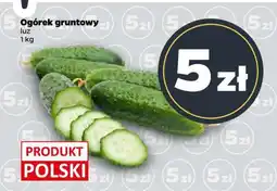 Netto Ogórek gruntowy oferta