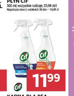 Stokrotka Płyn Cif oferta