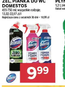 Stokrotka Zel, pianka do WC Domestos oferta
