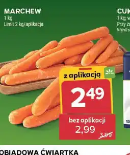 Stokrotka Marchew oferta
