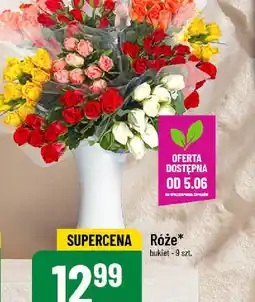 Polomarket Róże oferta
