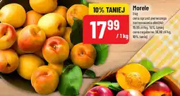 Polomarket Morele oferta