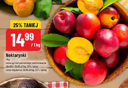 Polomarket Nektarynki oferta