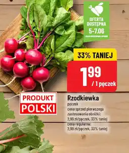 Polomarket Rzodkiewka oferta