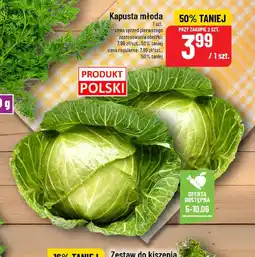 Polomarket Kapusta młoda oferta