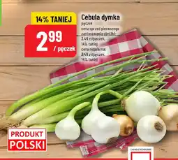 Polomarket Cebula dymka oferta