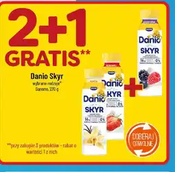 Polomarket Danio Skyr oferta