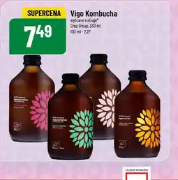 Vigo Kombucha