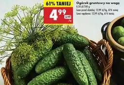 Biedronka Ogórki gruntowe oferta