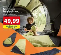 Lidl Śpiwór mumia lub kołdra oferta