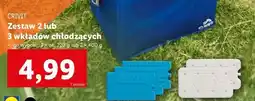 Lidl Wkłady chłodzące oferta