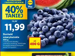 Lidl Borówki amerykańskie oferta