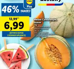 Lidl Melon Cantaloupe oferta