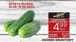Wafelek Ogórek gruntowy Wafelek oferta