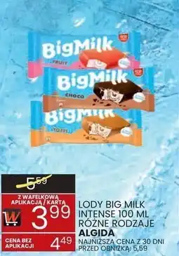 Wafelek Lody Big Milk Intense 100 ml różne rodzaje Algida oferta