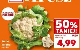 Kaufland Kalafior Polski oferta