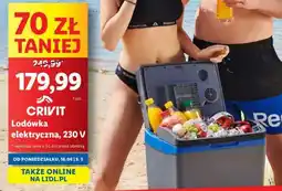 Lidl Lodówka elektryczna, 230 V oferta