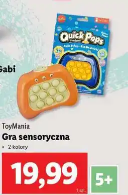 Lidl Gra sensoryczna oferta
